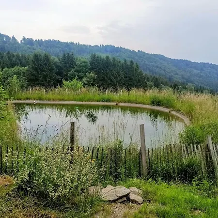 Berghuette Am Grandsberg * Schwarzach