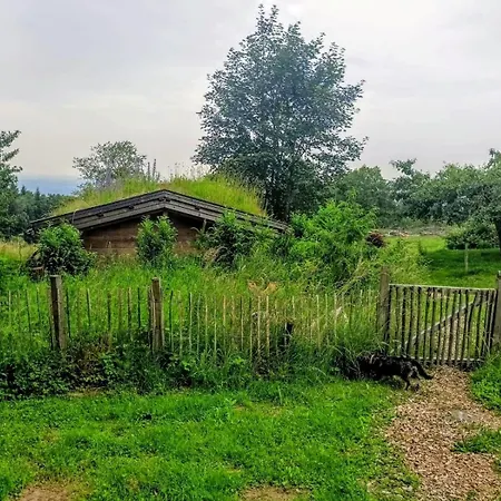 Σπίτι διακοπών Berghuette Am Grandsberg *