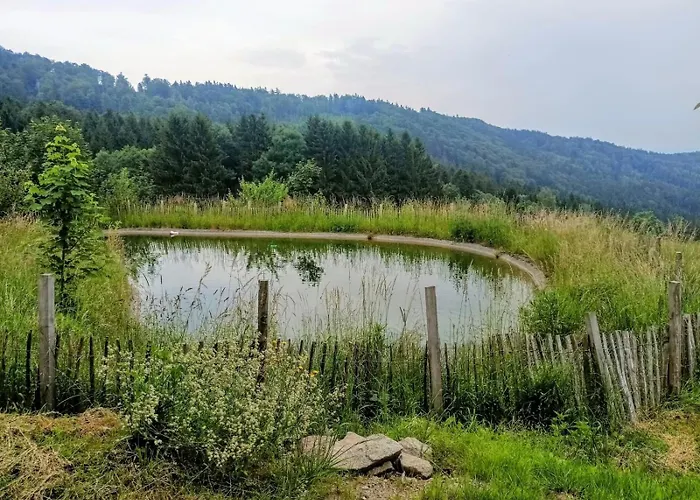 Berghütte Am Grandsberg * Schwarzach